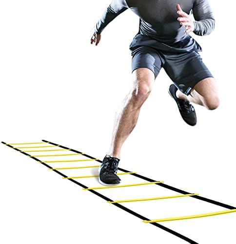 ladder2_41hxkcGekSL._AC_
